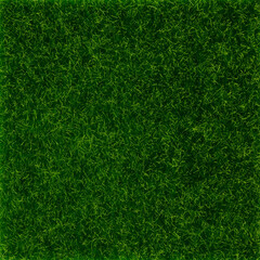 Abstract green grass texture background