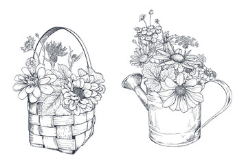 Vector floral compositions with black and white hand drawn herbs and wildflowers