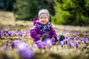 Pretty toddler girl sitting on meadow full of violet flowers