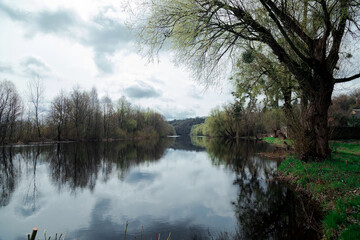 reflection of trees in the lake