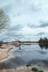 the river in the morning