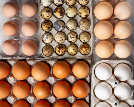 Close-up Of Different Types Of Chicken Eggs, Guinea Fowl And Quail Eggs In Eggs Cartons. Food Background.  Top View.