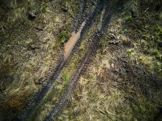 Big car tire print on ground. Traces of tractor or bulldozer tires in large mud. Imprint from wheels tracks. Deforestation and logging, forest clearing, timber removal. Above view

