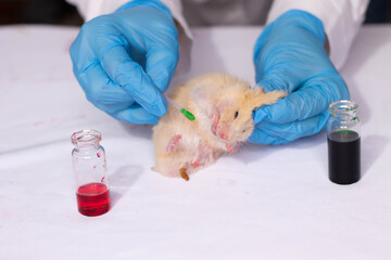 testing cosmetics and drugs on animals