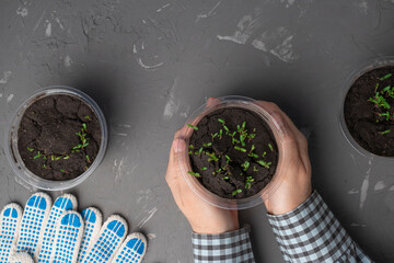 gardener woman holding a pot of plants in her hands on a dark background with copy space