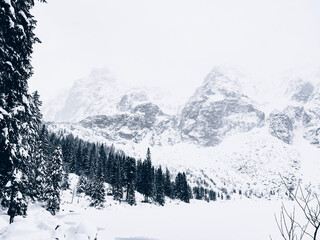 winter mountain landscape