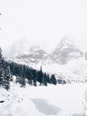 snow covered mountains