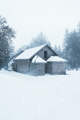 Naklejka premium Frozen house