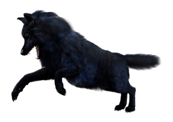 3D Rendering Black Wolf on White