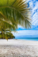 Beautiful caribbean beach, Dominican Republic. Clear blue water, sand and palm trees.