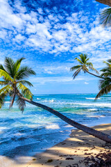 caribbean beach, Dominican Republic. blue water, sand and palm trees at the blue sky