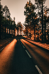 Obraz premium Landscape of a mountain road at sunset