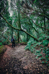 Girl with a backpack walking through a forest