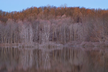 Spring landscape at dawn of the shoreline of Twin Lakes with mirrored reflections in calm water, Michigan, USA