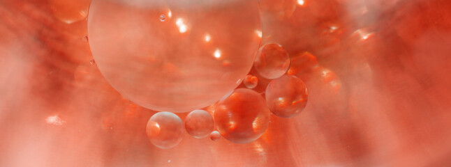 Oil bubbles close up. circles of water macro. abstract orange and fiery red background. banner