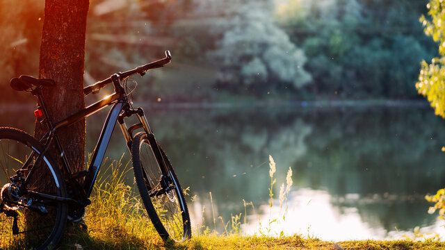 Mountain Bike stands on the river bank by a tree, sunny colorful summer landscape and copy space. Summer time for cycling trips - Powered by Adobe
