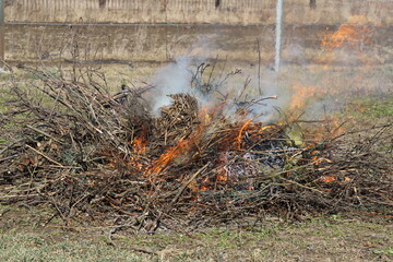 burning a fire in suburban areas is dangerous, spring cleaning of the territory