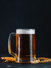 Pint mug of light beer on a black background, wheat ears