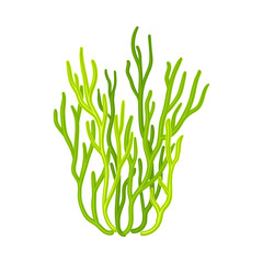 Green Coral as Marine Invertebrate from Ocean Bottom Vector Illustration