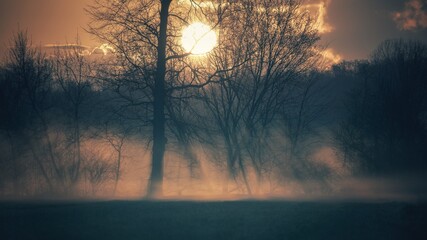 sunset over the river © Marcin