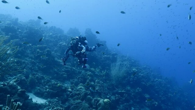 Professional diver, underwater cinematographer filming in coral reef of Caribbean Sea around Curacao
