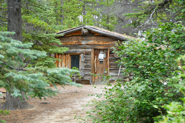 Fototapeta na wymiar Alaskan wooden trappers hut in wild nature near Bennett Lake, Chilkoot Trail, British Columbia, Canada