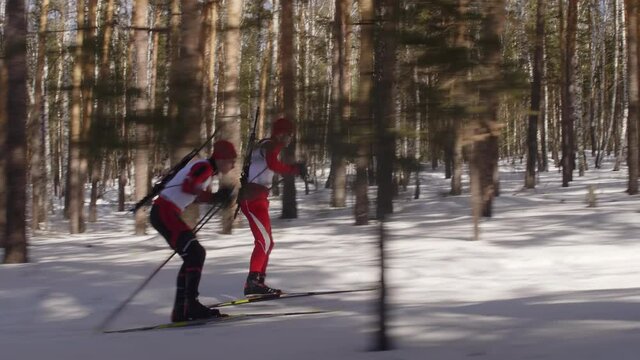 Tracking side view shot of two professional sportsmen skiing with rifles and poles through woods while competing in biathlon