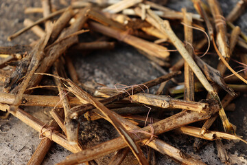 Close up shot of Wooden dry sticks which is assembled in round shape and some are bind with thin rope