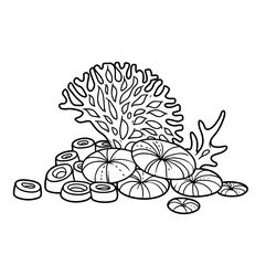 Corals grow on sea sponges coloring book linear drawing isolated on white background
