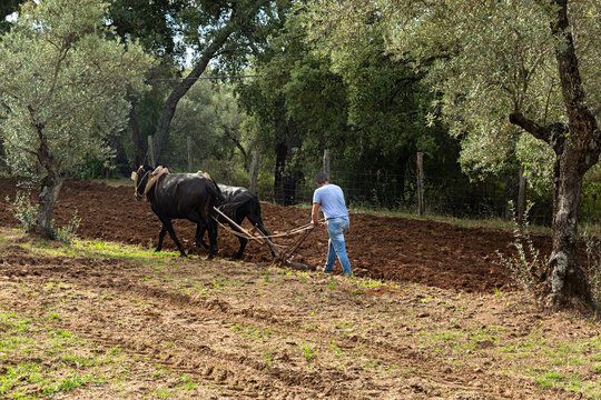 Paisaje con agricultor arando la tierra.