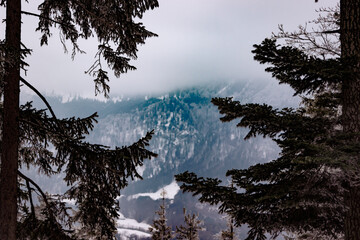 Blick zu einem Berg zwischen zwei Bäumen aus einem Wald in Aschau in der Nähe des Chiemsee im...