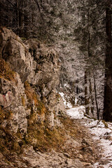 Fototapeta na wymiar Steiler Wanderweg an einem Berghang im Winter