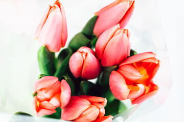 Naklejka premium Bouquet of spring pink tulips on a white background.