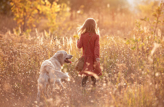 Little girl with dog in autumn nature