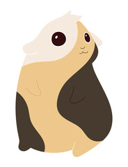 Guinea pig