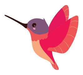 Hummingbird