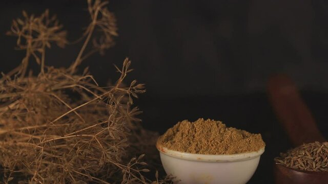 Cumin powder and caraway plant with carvi seeds on wooden spoon, white bowl in cumin powder,carvi seeds on wooden spoon,