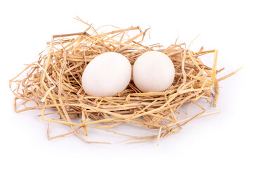 duck eggs in the hay nest on white background