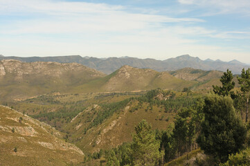 Rows upon rows of green valleys unfolding in the Outeniqua Mountains in the Western Cape