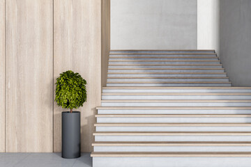 Front view on light wooden and concrete stairs outside at the entrance with green plant in black flowerpot