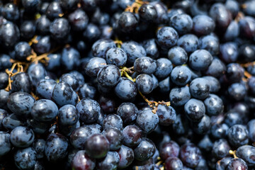 close up black grapes blackground
