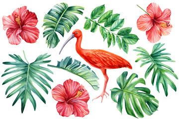 Tropical flowers, palm leaves and ibis birds on an isolated white background. Watercolor Floral design elements © Hanna