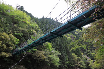 別府渓谷と吊り橋