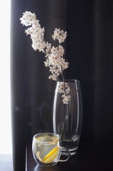 Spring apple blossom flowers in vase on dark background with glass cup of tea