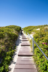 Hiking trail through the dunes near Kampen, Sylt, Schleswig-Holstein, Germany