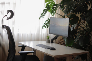 Work place at home with curved screen and orthopaedic chair.Interior with plants