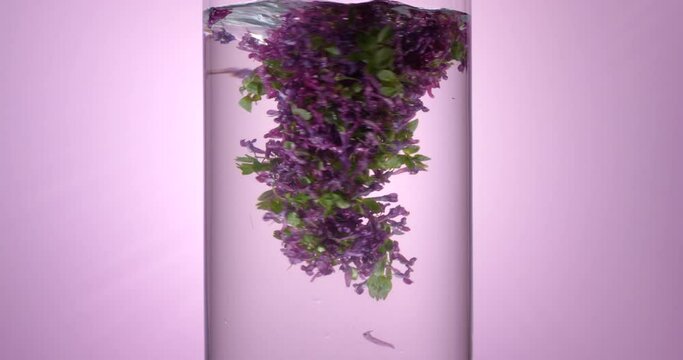 Spring flowers floating in a water swirl abstraction. Filmed in slow motion with RED camera.