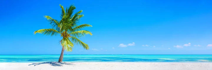 Zelfklevend Fotobehang Banner van idyllisch tropisch strand met wit zand, palmboom en turkooisblauwe oceaan © Kaspars Grinvalds