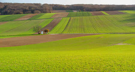 Naklejka premium Lower Austria Fields