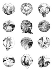 Set of 12 Hand drawn animals, sketch graphics monochrome illustration on white background